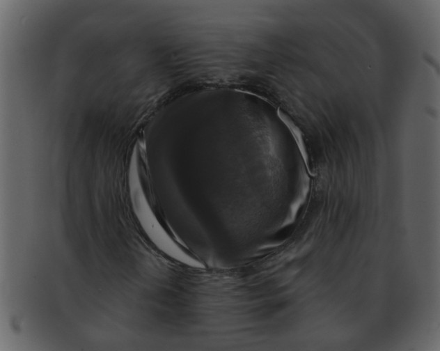 X0000093131202200710171300