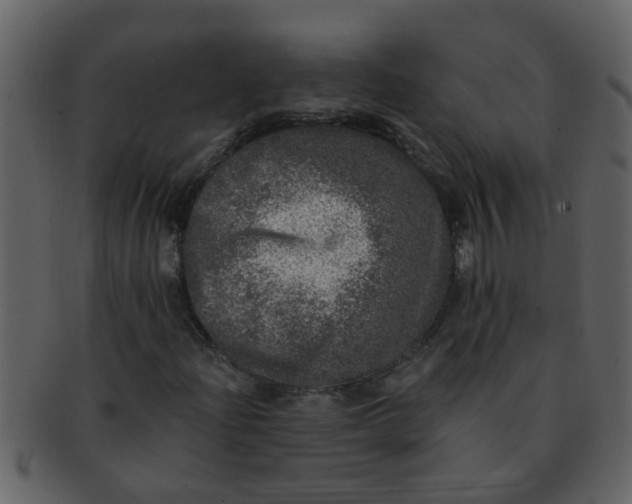 X0000093131204200710171300