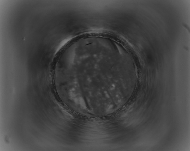 X0000093131208200710171300