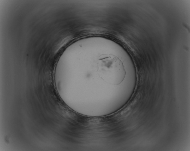 X0000093131211200710171300