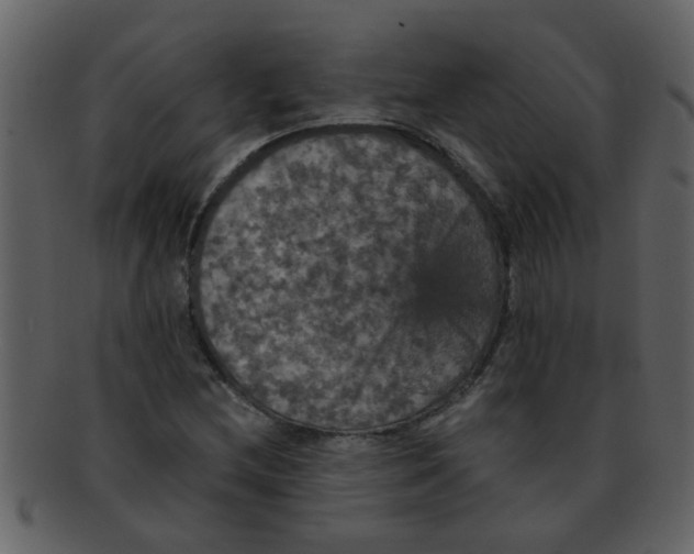 X0000093131212200710171300