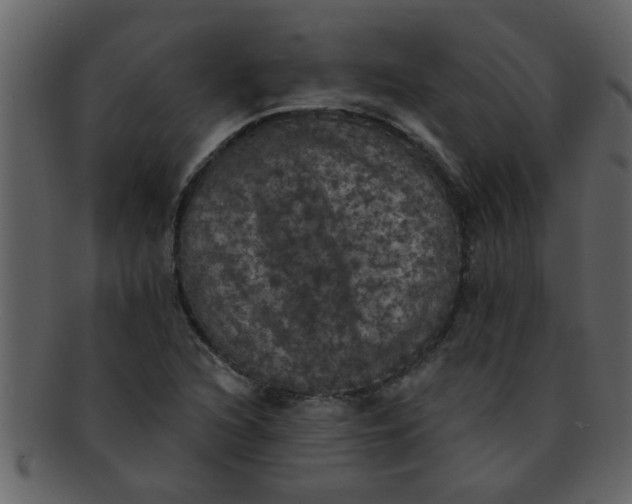 X0000093131216200710171300