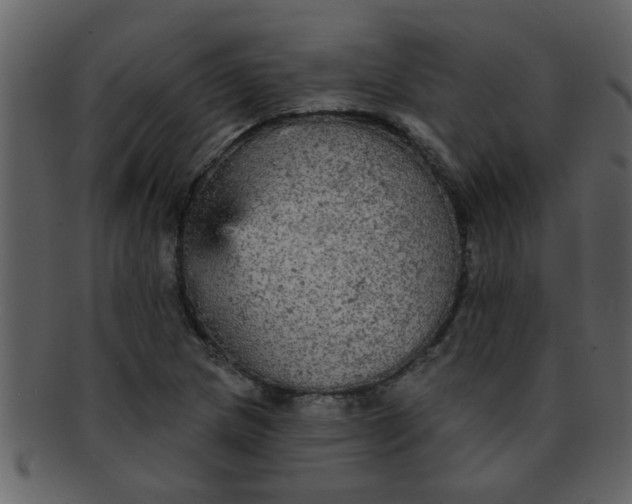 X0000093131217200710171300