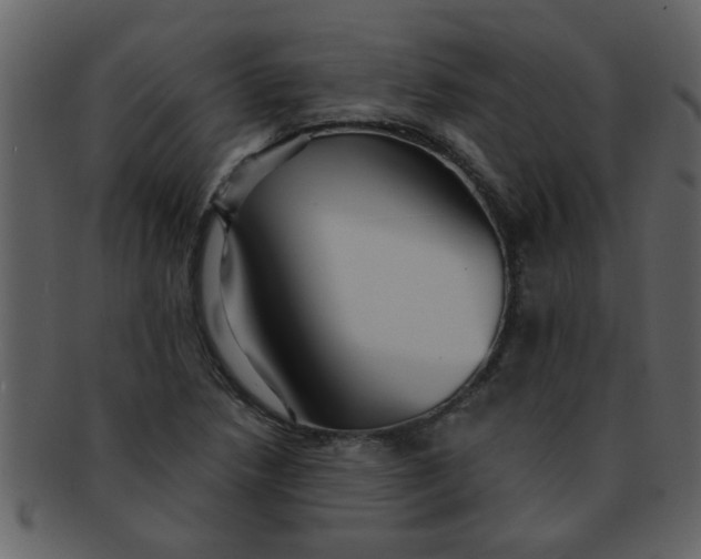 X0000093131218200710171300