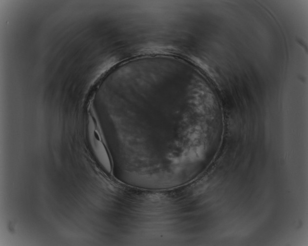 X0000093131219200710171300