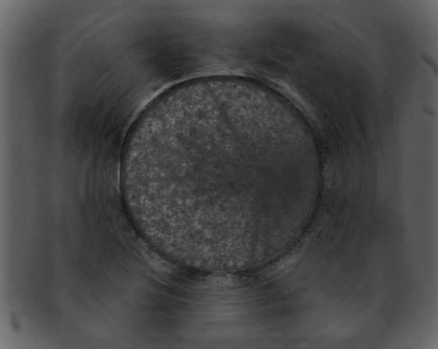 X0000093131220200710171300