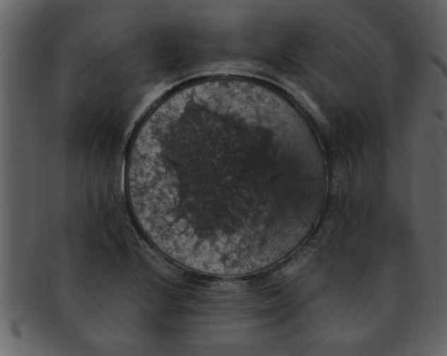 X0000093131224200710171300