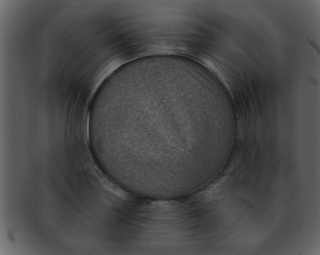 X0000093131227200710171300