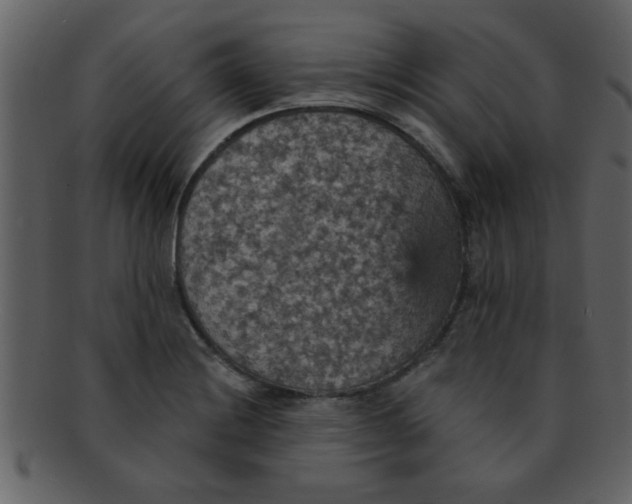 X0000093131228200710171300