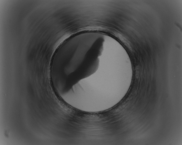 X0000093131229200710171300