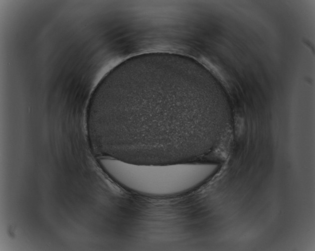 X0000093131230200710171300