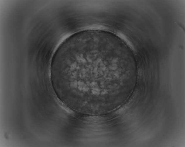 X0000093131232200710171300