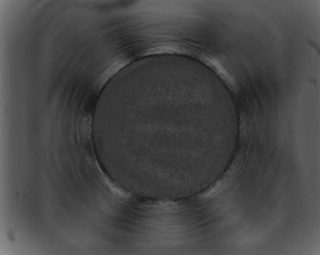 X0000093131233200710171300