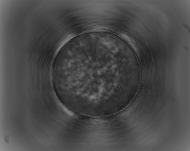 X0000093131235200710171300