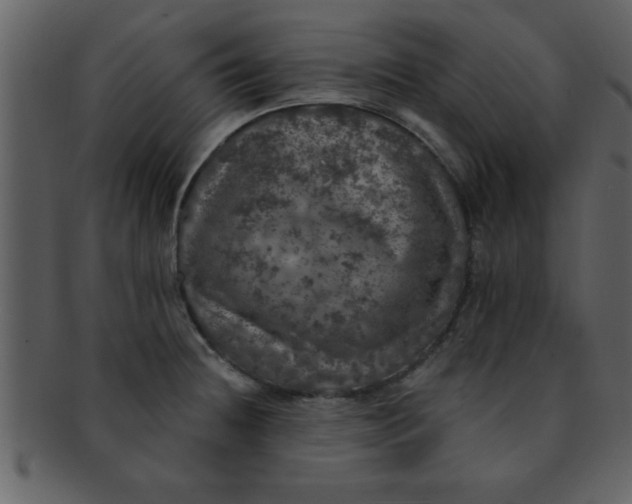 X0000093131236200710171300