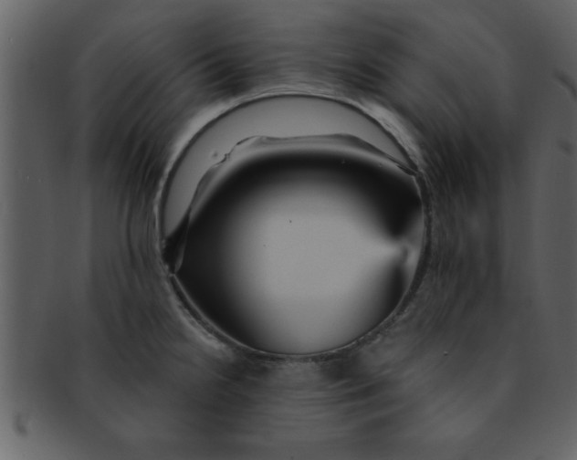 X0000093131238200710171300