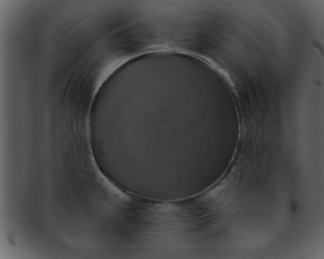 X0000093131239200710171300