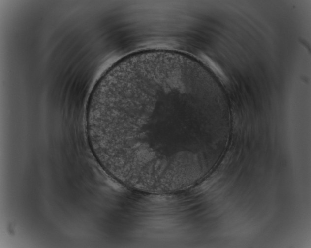 X0000093131240200710171300