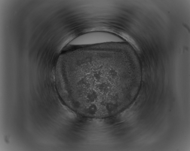 X0000093131241200710171300