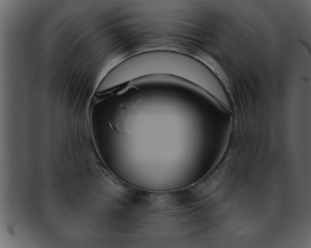 X0000093131242200710171300