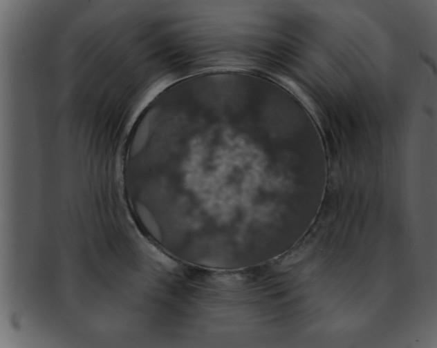 X0000093131243200710171300