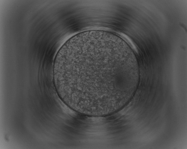 X0000093131244200710171300