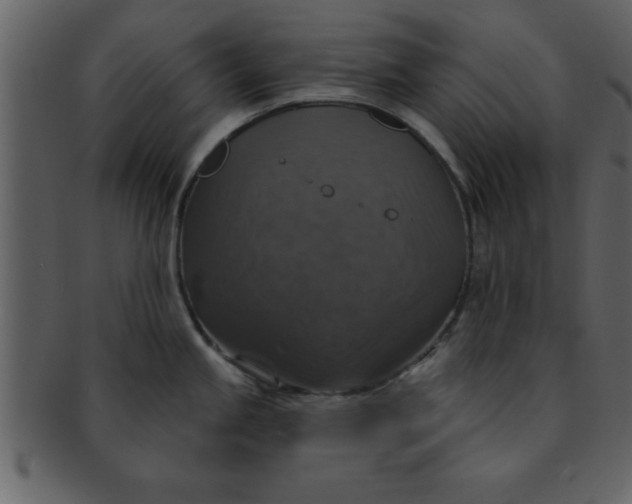 X0000093131245200710171300