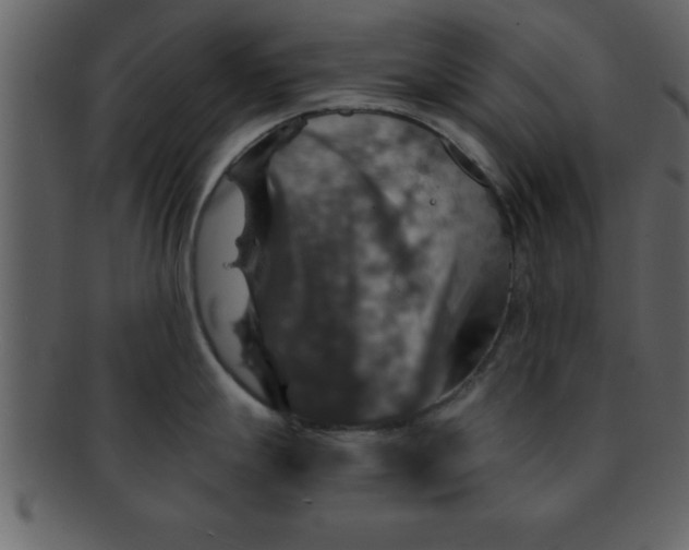 X0000093131247200710171300