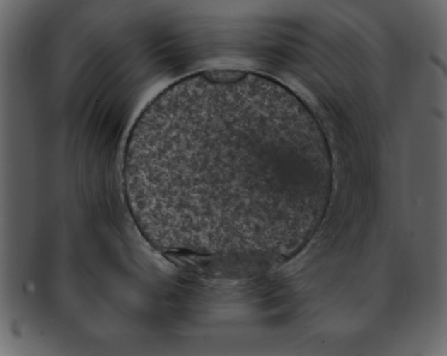 X0000093131248200710171300