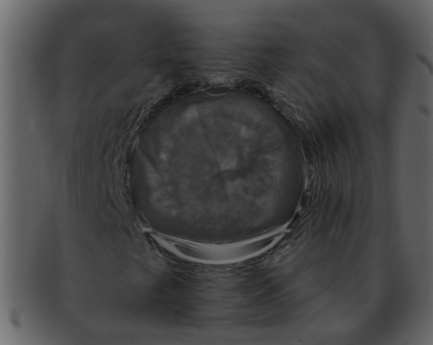 X0000093131249200710171300