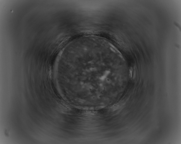 X0000093131251200710171300