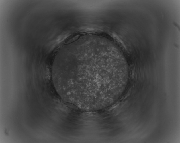 X0000093131253200710171300