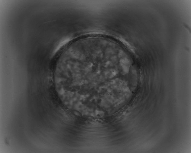 X0000093131255200710171300