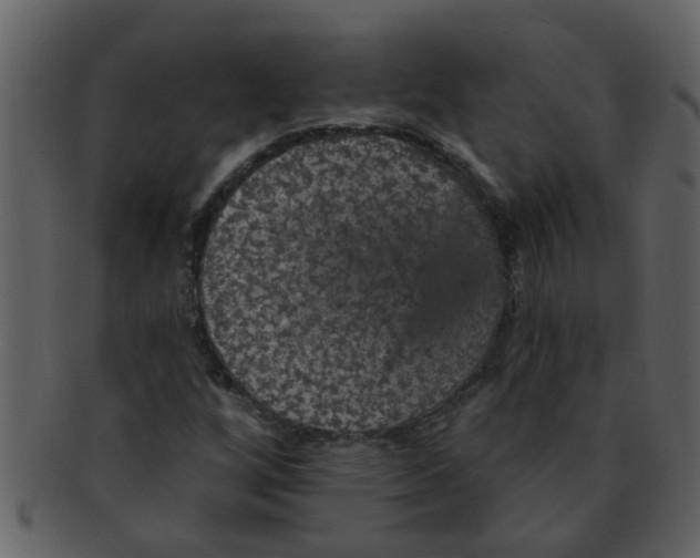 X0000093131256200710171300