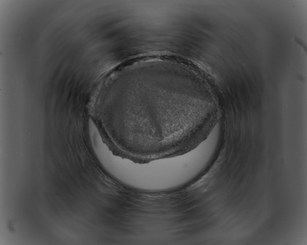 X0000093131257200710171300