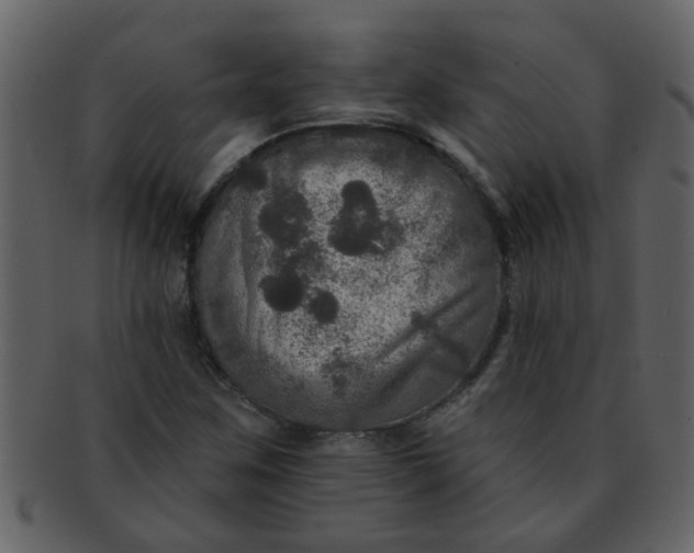 X0000093131259200710171300