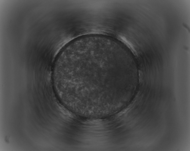 X0000093131260200710171300