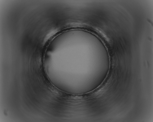 X0000093131261200710171300