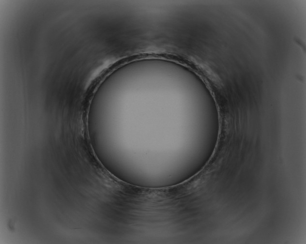 X0000093131262200710171300