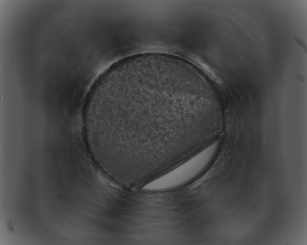 X0000093131264200710171300