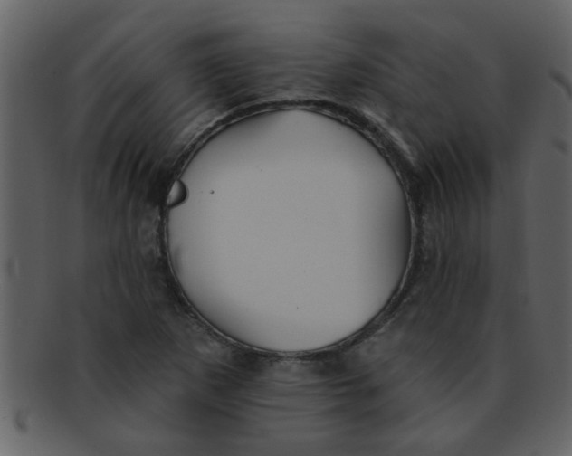 X0000093131265200710171300