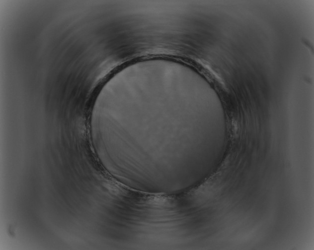 X0000093131266200710171300