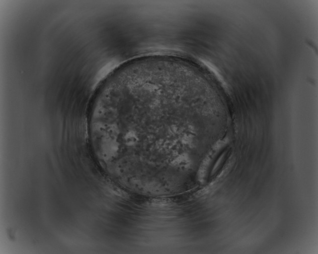 X0000093131267200710171300