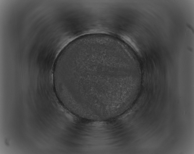 X0000093131268200710171300