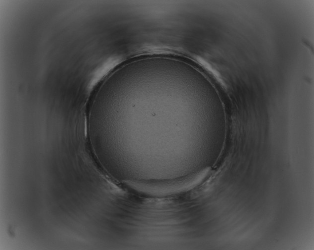 X0000093131269200710171300