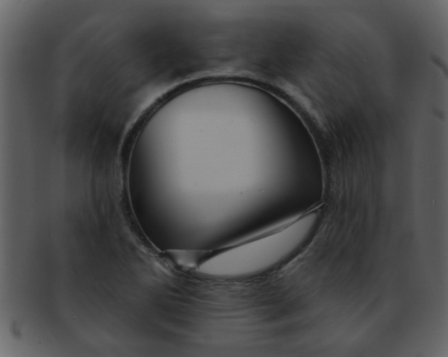 X0000093131270200710171259