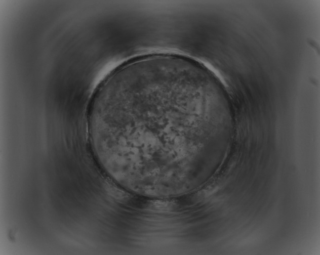 X0000093131271200710171259