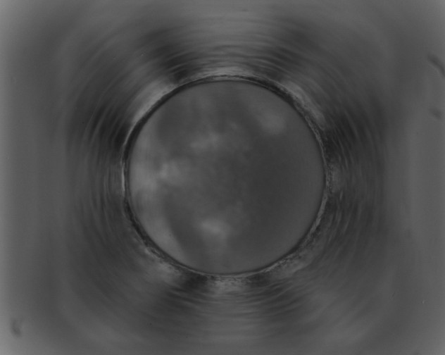 X0000093131274200710171259