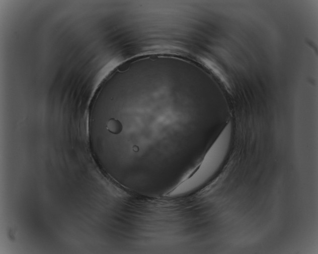 X0000093131275200710171259