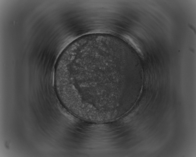 X0000093131276200710171259